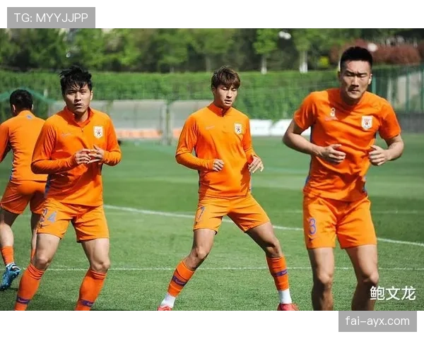 霍奇森战术体系成制胜关键，助力球队新赛季强势突围